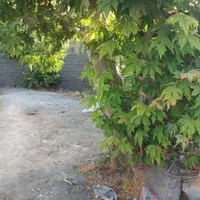 باغ چهاردیوار۵۵۰متری دهشاد شهریار معاوضه با خودرو|فروش خانه و ویلا|شهریار, شهرک بهاران (ویره)|دیوار