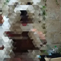 سگ پیدا شده محدوده هشت بهشت