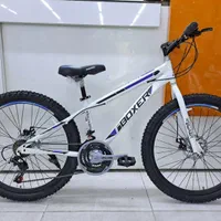 دوچرخه ۲۶ دیسکی باکسر|دوچرخه، اسکیت، اسکوتر|کرج, شاهینویلا|دیوار