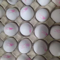 پخش تخم مرغ آرمان