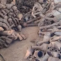 کاتالیست و خاک