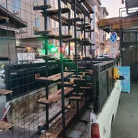 ۲۲۶۵۴دولاین رگال مبرهن مانکن|فروشگاه و مغازه|رشت, استادسرا|دیوار