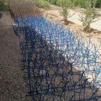 حفاظ روی دیوار