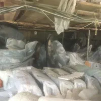 سپر پراید پژو ایرانخودرو سایپا خام ورنگی و چینی|قطعات یدکی و لوازم جانبی|تهران, خرمشهر|دیوار