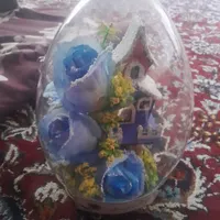 گل نونو تازه خریداری شده فروش فوری