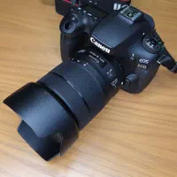 دوربین کانن با لنز (18-135) EOS 90d|دوربین عکاسی و فیلم‌برداری|رشت, علی آباد|دیوار