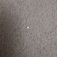 موکت