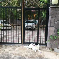 اجاره روزانه ویلا و سوییت|اجارهٔ کوتاهمدت ویلا و باغ|آبعلی, |دیوار