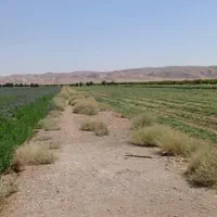 8 هکتار زمین مزروعی واقع در منطقه کشاورزی ایوانکی|فروش زمین و ملک کلنگی|پاکدشت, پاکدشت (مامازند)|دیوار