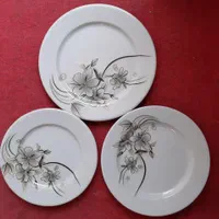 سرویس ملامین مینا«نشکن»گرد*قیمت قبل*