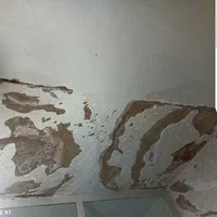 گچکاری ولکه گیری گچ کاری قیمت مناسب|خدمات پیشه و مهارت|زاهدان, |دیوار