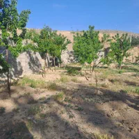باغ و باغچه ویلایی|فروش دفتر صنعتی، کشاورزی، تجاری|مشهد, الهیه|دیوار