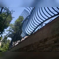 حفاظ شاخ گوزنی/لیلیوم/بوته ایی/۳شاخ/آکاردئونی|خدمات پیشه و مهارت|بندرعباس, |دیوار