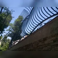 حفاظ شاخ گوزنی/لیلیوم/بوته ایی/۳شاخ/آکاردئونی|خدمات پیشه و مهارت|بندرعباس, |دیوار