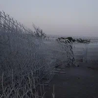 حفاظ شاخ گوزنی|مصالح و تجهیزات ساختمان|نیشابور, جمهوری|دیوار