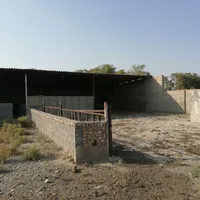باغ دامداری 3000 متری در آب باریک ورامین|فروش دفتر صنعتی، کشاورزی، تجاری|جوادآباد, |دیوار