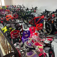 دوچرخه تایوانی کودک و بزرگسال|دوچرخه، اسکیت، اسکوتر|سنندج, |دیوار