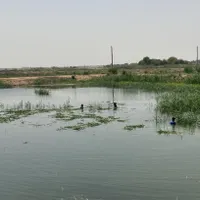 نیازمندکارگر پرورش ماهی
