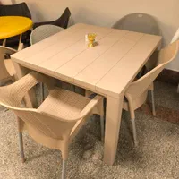 صندلی ناصر میز و صندلی پلاستیکی و باغی