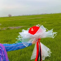 فروش گل های ربانی. باکس .دسته گل .تک شاخه .|گل مصنوعی|گنبد کاووس, |دیوار