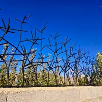 نرده بزرگ حفاظ کوچک دزدگیر درختی|مصالح و تجهیزات ساختمان|شیراز, شهرک گلدشت حافظ‎|دیوار