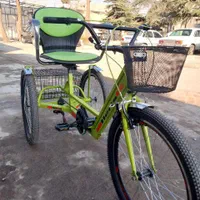 سه چرخه سبز مبله|دوچرخه، اسکیت، اسکوتر|فردیس, منظریه|دیوار