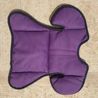 صندلی کودک Besafe IZI Comfort  X3|کالسکه و لوازم جانبی|تهران, الهیه|دیوار