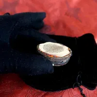 قرآن عتیقه خیلی قدیمی ۸ ضلعی کوچک مینیاتوری قران|کلکسیون اشیاء عتیقه|تهران, صادقیه|دیوار