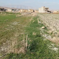 فروش زمین  آخر کرونی جمال آباد خیابان شوره زار|فروش زمین و ملک کلنگی|شیراز, حجت آباد|دیوار