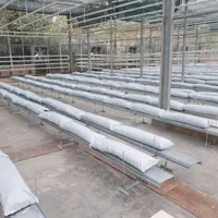 گلخانه از صفر تا صد|خدمات باغبانی و درختکاری|کرج, گوهردشت|دیوار