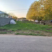 مسکونی ۵۰۰ متری بر آسفالت محدوده لشت نشا|فروش زمین و ملک کلنگی|لشت نشا, |دیوار