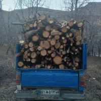 خرید و برش انواع درخت و چوب|خدمات باغبانی و درختکاری|مشهد, عبادی|دیوار