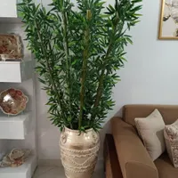 تولید درختچه های بامبو در سایزهای ۱۳۰تا۲۲۰سانتی|گل مصنوعی|رشت, کوی حسینی|دیوار
