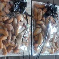 شله زرد ، حلوا، خرما|خدمات پذیرایی، مراسم|کرمانشاه, |دیوار