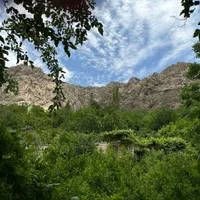 ویلا ارغوان به صورت مستقل در باغات روستای داریان|اجارهٔ کوتاه‌مدت ویلا و باغ|کرمانشاه, |دیوار
