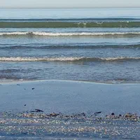 سوییت تکخواب کلیدنخورده ساحلی(ایزدشهر)نور