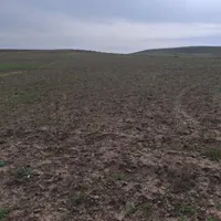 زمین خالی دیم روستای حاج کردآغ چلدی