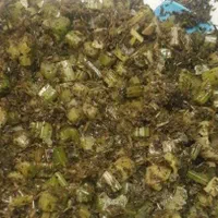 کرفس سرخ شده تازه|خوردنی و آشامیدنی|تهران, شکوفه|دیوار