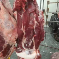 پخش بار تازه ران سردست قلوه گاه|خوردنی و آشامیدنی|آفتاب, |دیوار