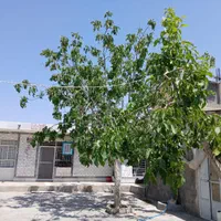 اجاره سویت منزل مبله ومجهز برای خانواده ومجردی|اجارهٔ کوتاه‌مدت آپارتمان و سوئیت|شهرکرد, |دیوار