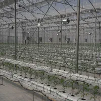 فن سیرکولار گلخانه|پنکه و تصفیهکنندهٔ هوا|شهرضا, |دیوار