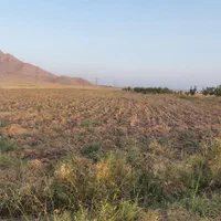 هزارمتر زمین در فیض اباد زیاران کنار اتوبان|فروش دفتر صنعتی، کشاورزی، تجاری|آبیک, |دیوار