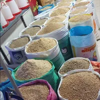 دان(خوراک)دام و طیور