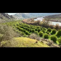 فروش زمین ۷ هکتار|فروش زمین و ملک کلنگی|اصفهان, عباس‌آباد|دیوار