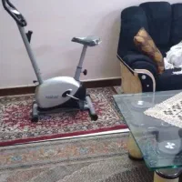دوچرخه ثابت