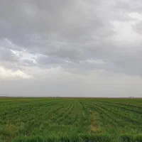 یک قطعه زمین کشاورزی باغی ۱۰۰۰ متری|فروش دفتر صنعتی، کشاورزی، تجاری|کرج, خرمدشت|دیوار