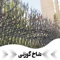 نرده حفاظ شاخ گوزنی حفاظا|مصالح و تجهیزات ساختمان|تهران, یوسفآباد|دیوار