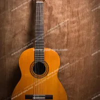 آموزش گیتار