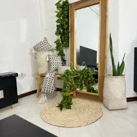 آینه و نیمکت زندگی