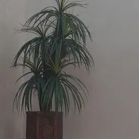 درختچه مصنوعی